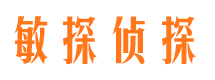 屏边市侦探调查公司